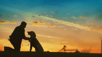 A man kneeling down to pet his dog. Behind his is a sunset sky with a fields in the background