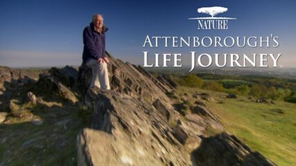 Sir David Attenborough wearing a blue jacket and white pants sits on top of a mountain.